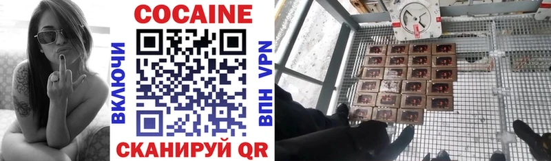 продажа наркотиков  гидра ссылка  COCAIN 98%  Цивильск 