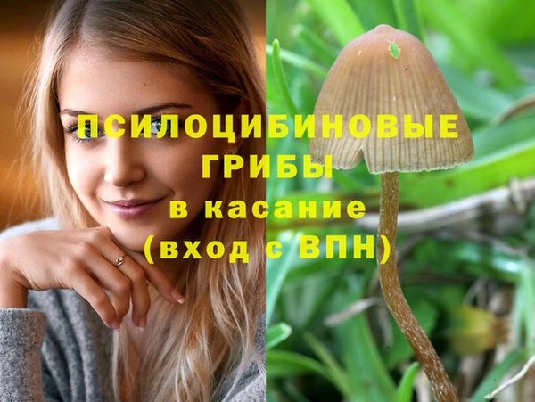 мяу мяу мука Армянск
