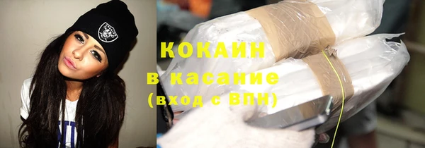 ешки Алексин