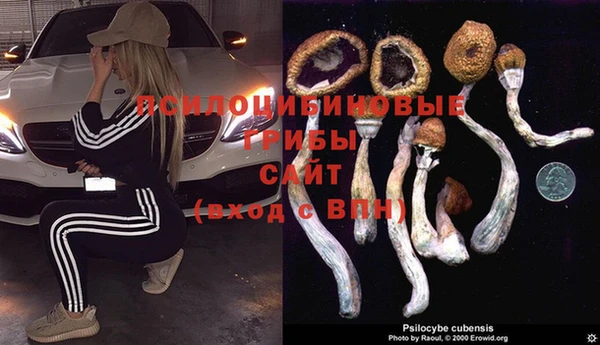 ешки Алексин