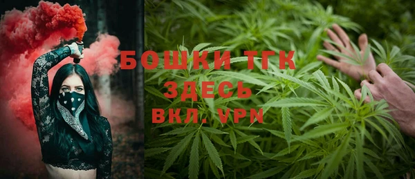 сатива Арсеньев