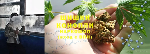 твердый Аркадак