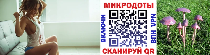 ОМГ ОМГ зеркало купить Цивильск Псилоцибиновые грибы GOLDEN TEACHER